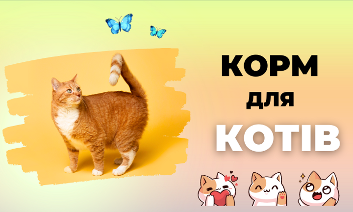 Корм для котів
