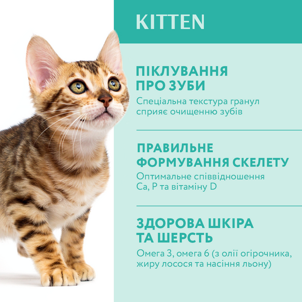 Повнораціонний сухий корм для кошенят - курка 0,7кг 4820215364706 фото