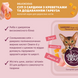 DELICKCIOUS&trade; суп з сардини з креветками та додаванням гарбуза. Повнораціонний корм для дорослих котів 4820269141568 фото 3