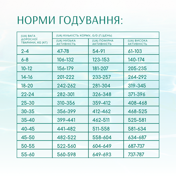 Б`ЮТІ ФІТНЕС. ЗДОРОВА ВАГА ТА СУГЛОБИ. Беззерновий повнораціонний сухий корм для дорослих собак усіх порід. Формула на основі морепродуктів 4кг 4820215366052 фото