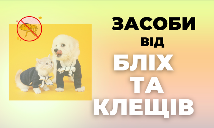 Подвійний банер 715 х 432 (1)