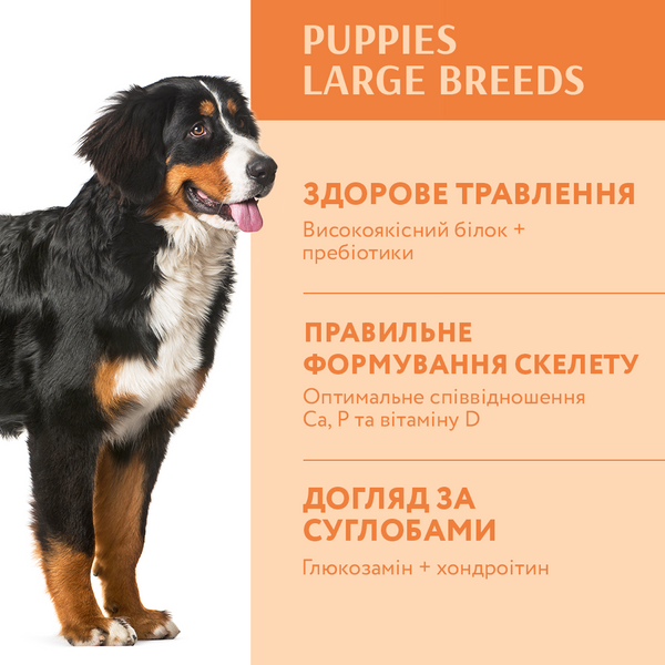 Повнораціонний сухий корм для цуценят великих порід &ndash; індичка 12кг 4820215363822 фото