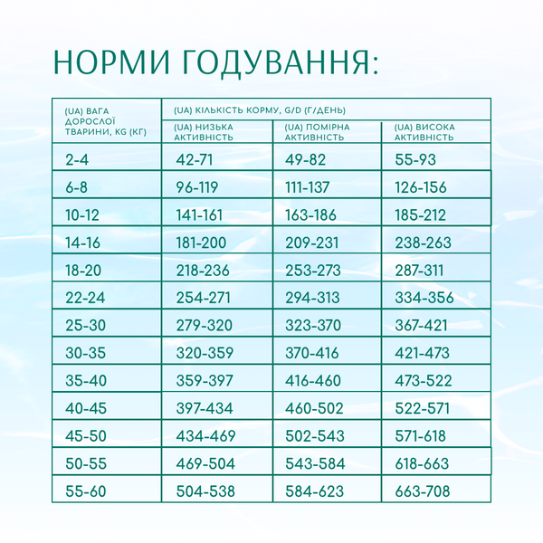 Б`ЮТІ ПОДІУМ. БЛИСКУЧА ШЕРСТЬ ТА ДОГЛЯД ЗА ЗУБАМИ. Повнораціонний сухий корм для дорослих собак усіх порід. Формула на основі морепродуктів 4кг 4820215366090 фото