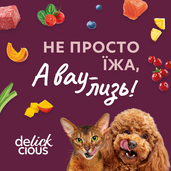 "Набір №1 DELICKCIOUS&trade; для дорослих собак. Повнараціонний консервований корм (2х0,085 кг), додатковий консервований корм (2х0,08 кг), 0,33 кг " 4820269143562  фото