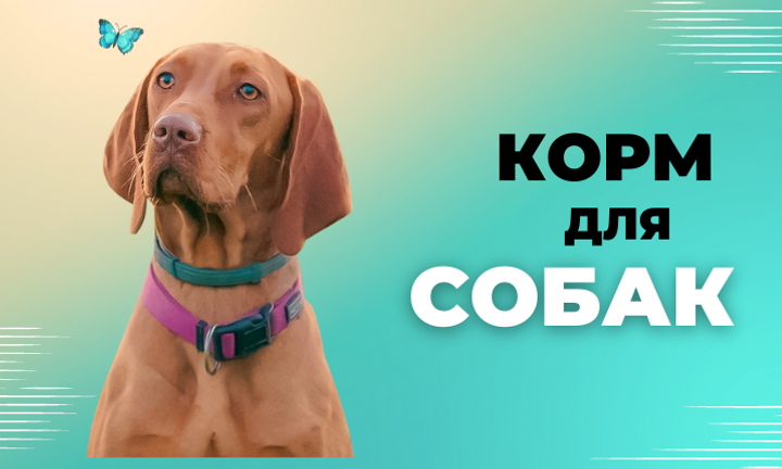 Banner from design