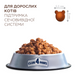 Premium сухий корм сечовивідна коти 0,9 кг 4820083909344 фото 7